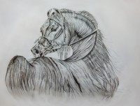 /album/kepgaleria-rajzok-drawings/dscn0131-jpg1/