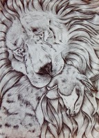 /album/solaniart/dscn0126-jpg1/