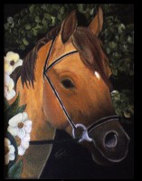 /album/solaniart/a314514-10150968228310386-1945724099-n-jpg/