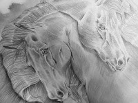 /album/kepgaleria-rajzok-drawings/regi-jpg/