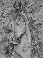 /album/kepgaleria-rajzok-drawings/dscn0156-jpg/